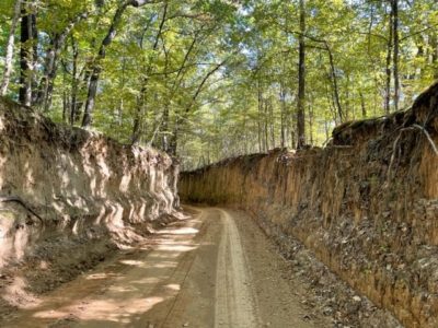Old Roads on Crowley's Ridge.