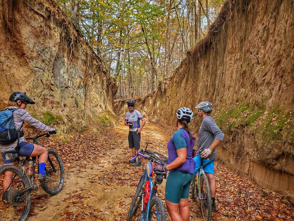 Old roads on Crowley's Ridge.
