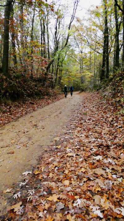 Riding near Newcastle, Arkansas