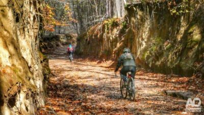 Through the sunken road