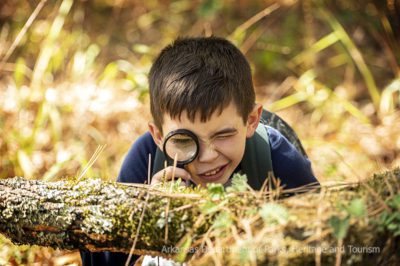 Exploring the finer details in nature - photo courtesy of ADPHT.