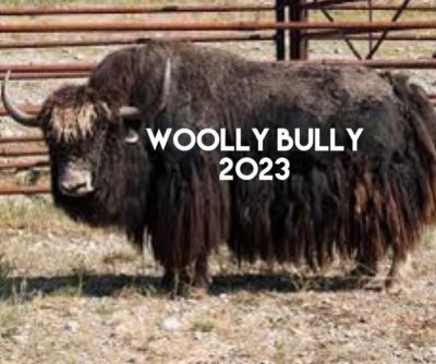 Woolly Bully Bike Ride