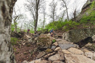 Exquisite trail design and construction on the Devil's Racetrack Trail at Devil's Den State Park.