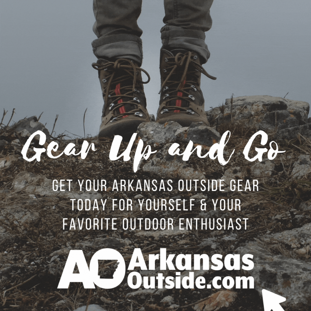 AO Gear Store