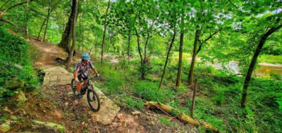 Little Sugar Trails, Bella Vista