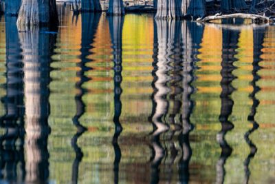 Reflections at Moro Bay State Park.