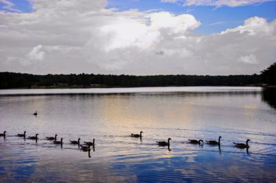 Craighead Forest, Jonesboro, AR.