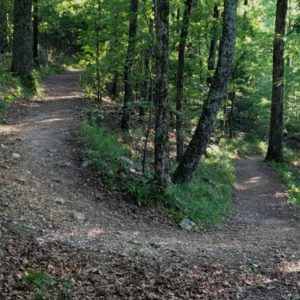 Hot Springs National Park Trail Run