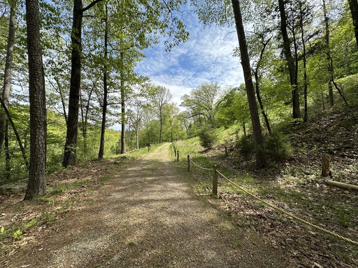 Spring Garden Trail is a wide path