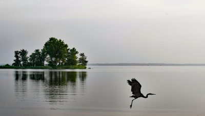 US Army Corps of Engineers to begin Millwood Lake drawdown