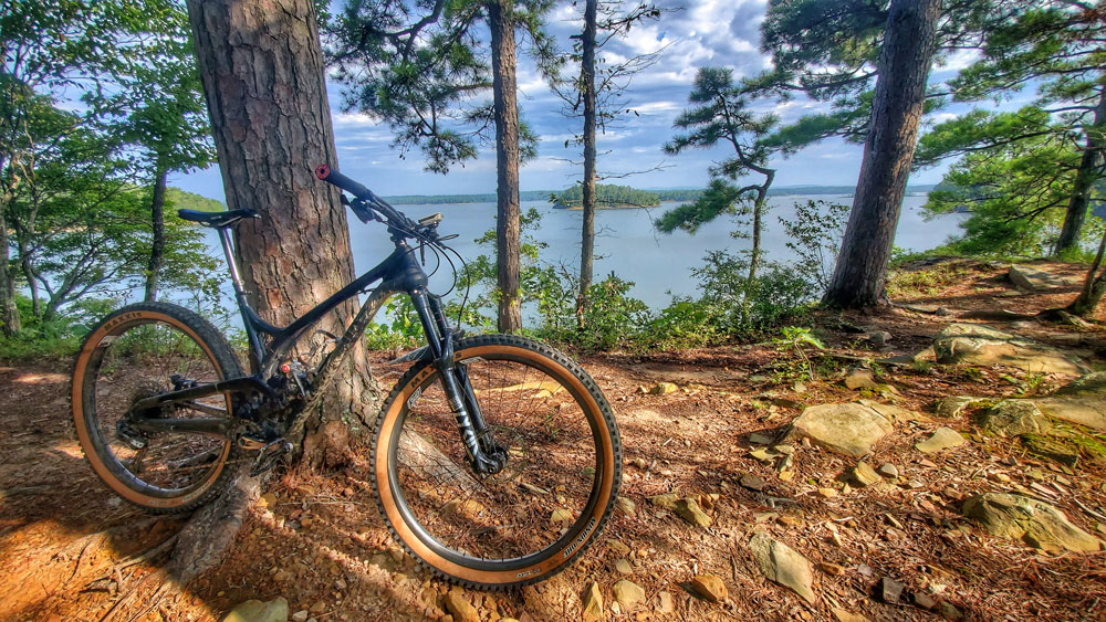 A beautiful view of DeGray Lake from Joe's Garage.