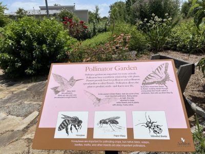 Learn About Birds and More at the Little Rock Audubon Center