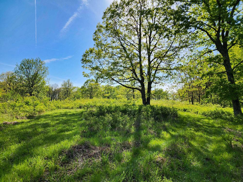Northwest Arkansas Land Trust (NWALT) Announces 580 Acre Conservation Easement