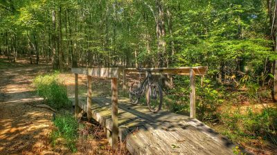 Welcoming New Trails to the Delta