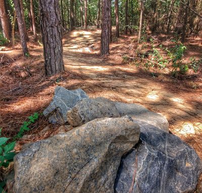 Some of the few rocks in the area.