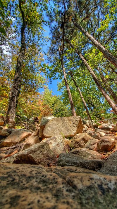 The start of the rock section of the East Summit Trail.