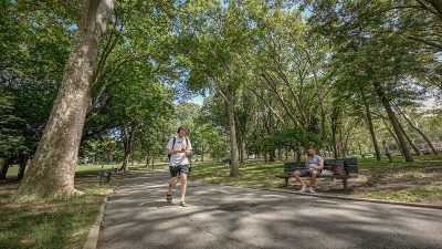 USDA Invests Over $4 Million in 2 Projects to Expand Access to Trees and Green Spaces in Arkansas