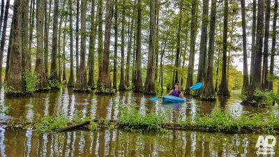 Paddling the Little Maumelle River near Little Rock.