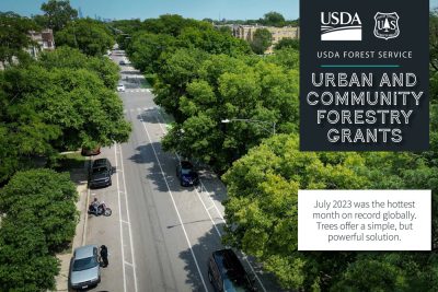 Urban Community Forestry Grants.