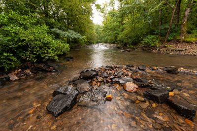 Big Fork, Ouachita National Forest.