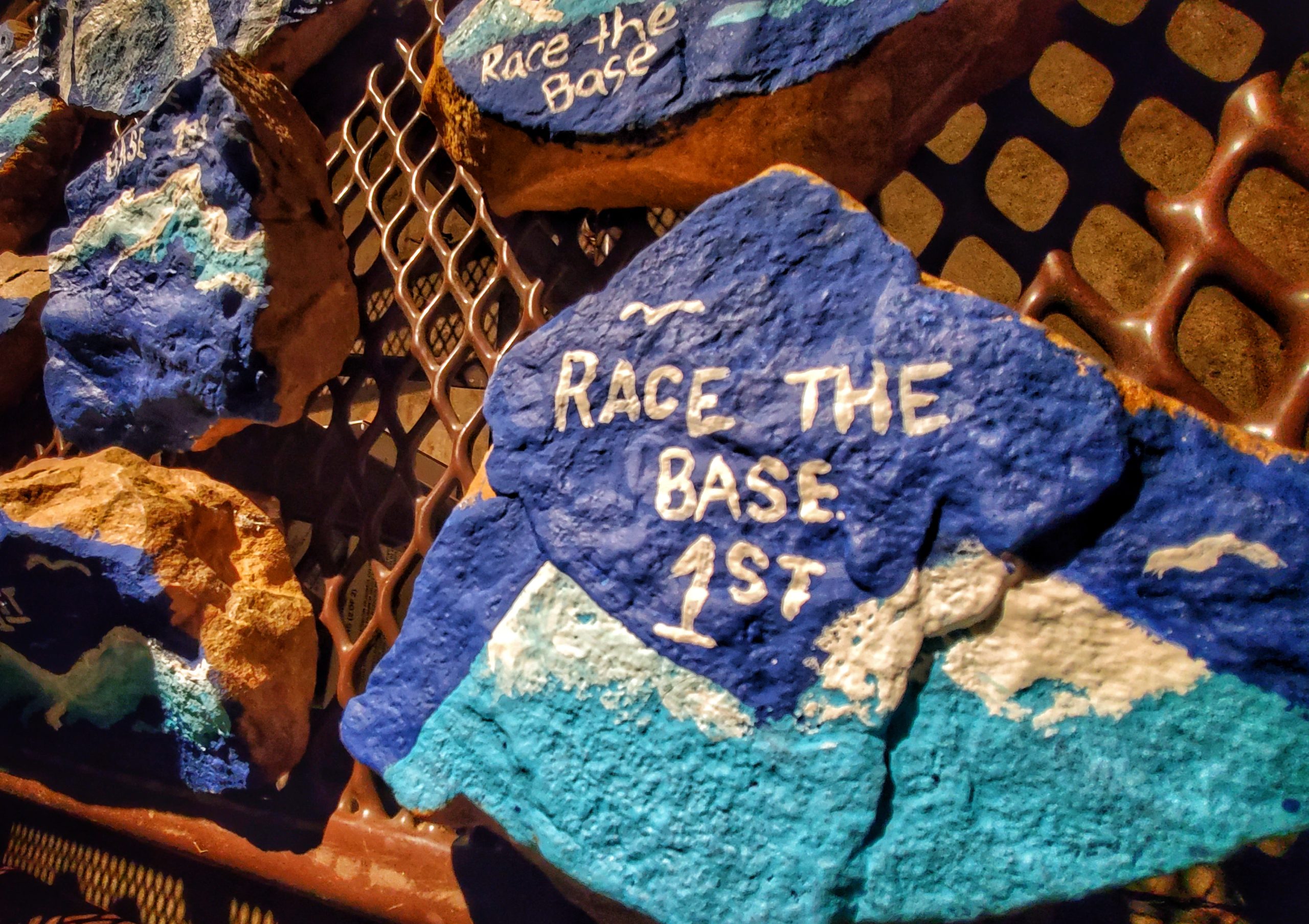 2023 Race the Base - Photo Essay