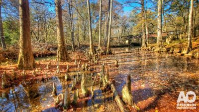 Owl Pass Trail along the Little Maumelle River.