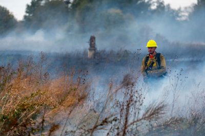 The US Army Corps of Engineers (USACE) and the City of Fayetteville have both recently announced plans to conduct prescribed burns on land they manage.