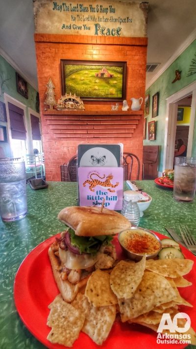 My lunch at the Skylark Cafe.