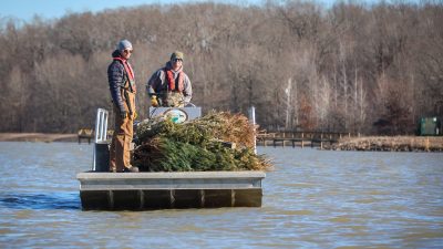 Arkansas Game and Fish Commission employees placing Christmas trees.