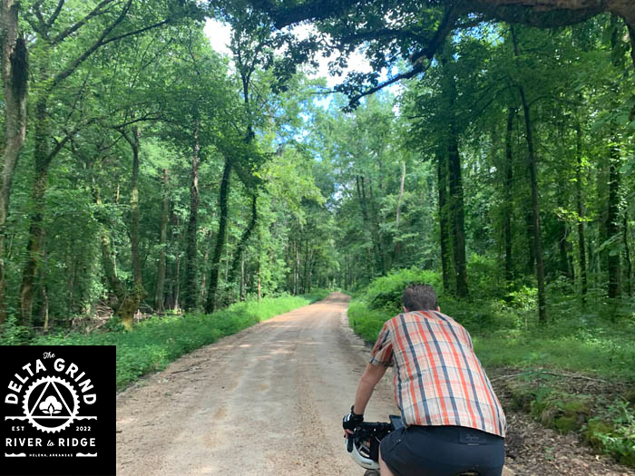 Beautiful gravel experience on the "Low Road" between Helena and Marianna, AR.