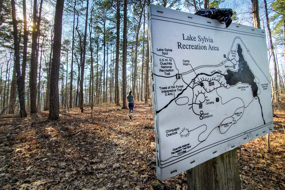Trees of the Forest Trail to Receive Upgrades