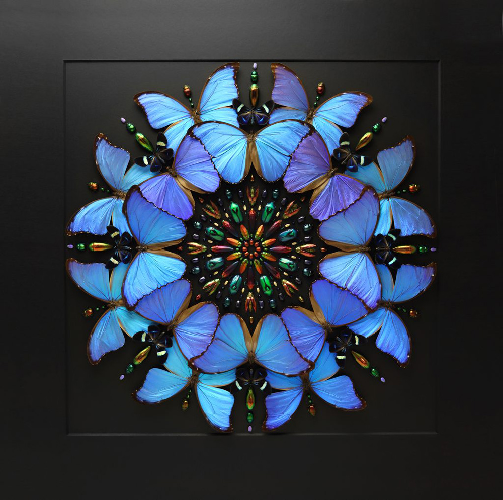 Lambent Prism