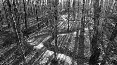 New Mountain Bike Trails to Officially Open at Craighead Forest