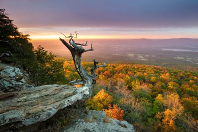 Mount Magazine State Park.