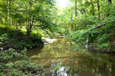 Cane Creek State Park.