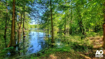 Passing through the beautiful wetlands of the Low Road, we recommend stopping for the scenery.