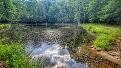 Fern Lake is at the intersection of several hiking and mountain biking trails in the park.