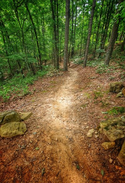 This welcoming trail, winding through the heavily wooded Mount Nebo State Park.