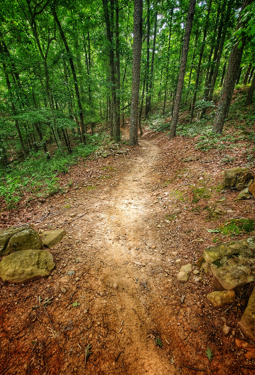 This welcoming trail, winding through the heavily wooded Mount Nebo State Park.