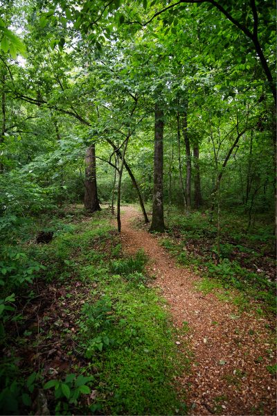 Miles of natural surface trails.