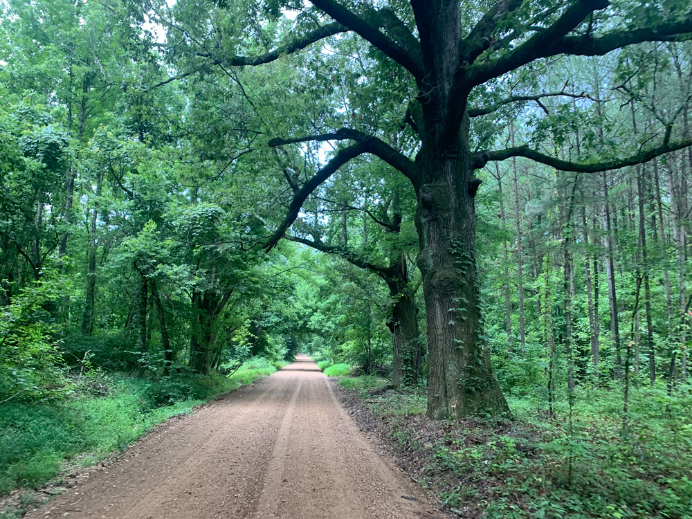 Gravel Road Running in the Arkansas Delta.