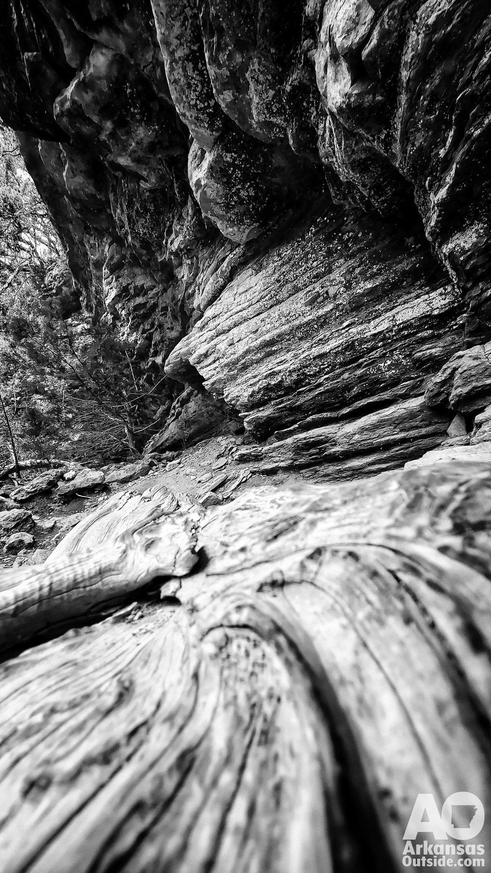 Stratification of rocks and wood on the wind swept bluff.