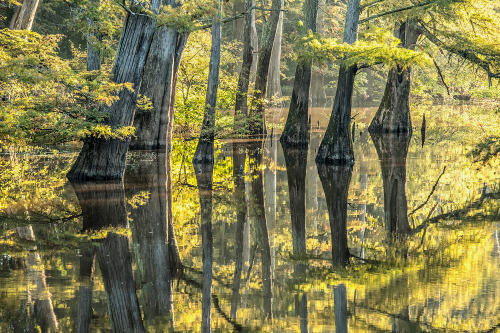Paddling the Arkansas Delta: A Serene Escape