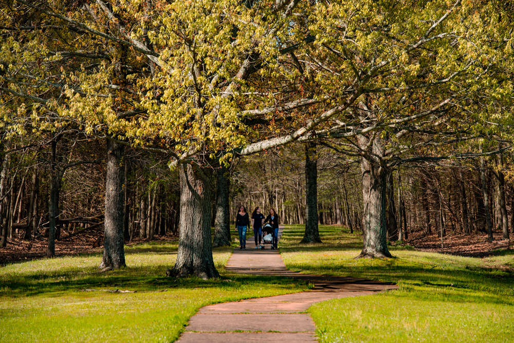 A Fall walk at Arkansas Post National Memorial.