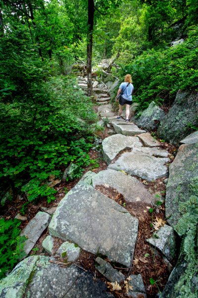Hiking near Queen Wilhelmina State Park.