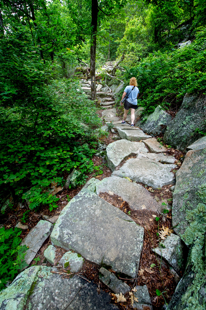 Hiking near Queen Wilhelmina State Park.