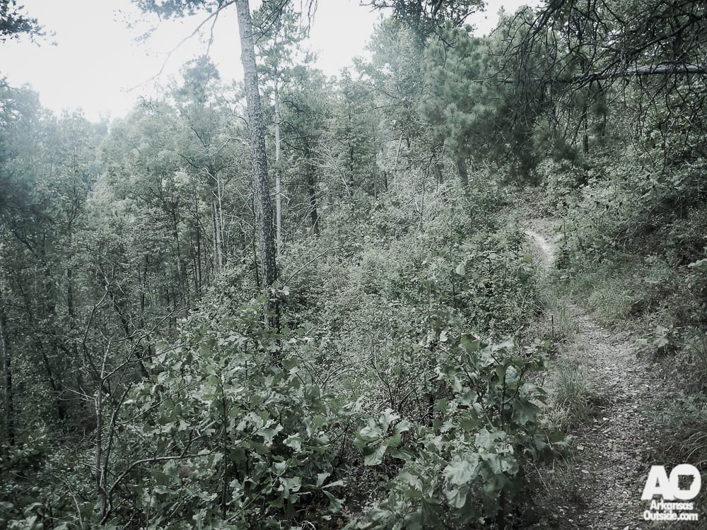 The view along the Womble Trail. Arkansas's first IMBA Epic.