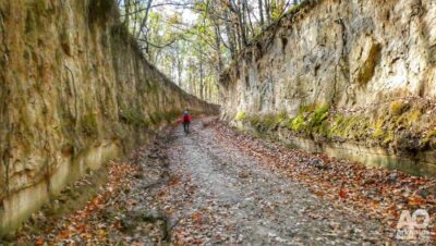 Crowley's Ridge, you've not ridden anywhere like this before.