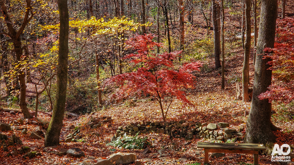 Fall color in Allsopp Park, Little Rock.