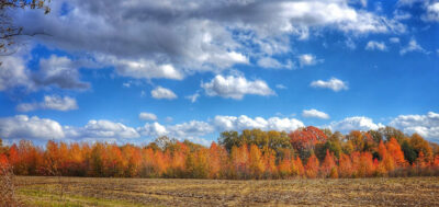Fall color on Crowley's Ridge north of Marianna. (Photo by Arkansas Outside)